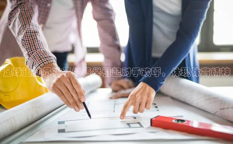 非凡娱乐app百度学术足球运动员孩子的善举引起对手欢呼，体现体育精神