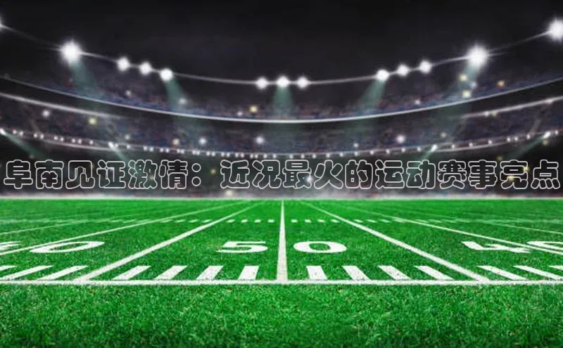 阜南见证激情：近况最火的运动赛事亮点