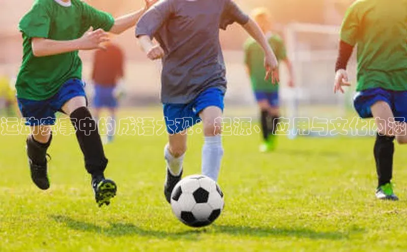 运动赛事中的成语大观：起源、应用与文化内涵