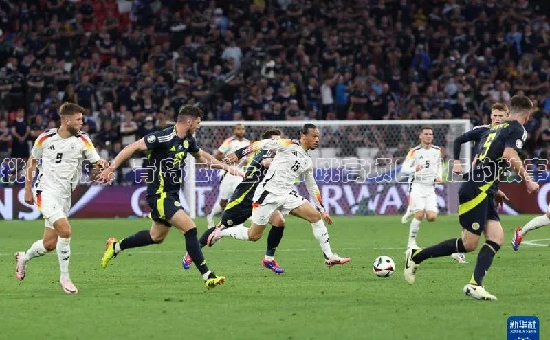 非凡体育2121app官网版