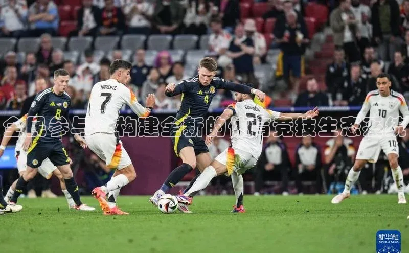 全民参与：构建全新的体育竞技生态系统