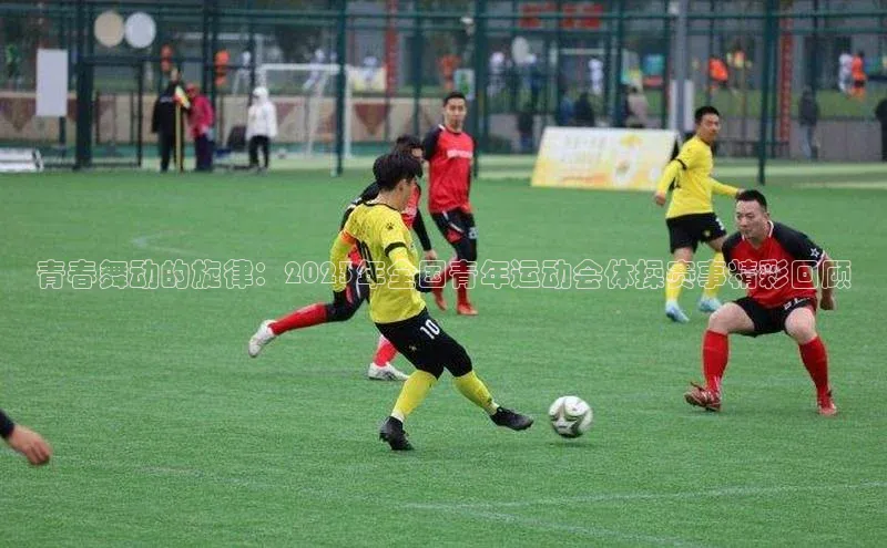 青春舞动的旋律：2023年全国青年运动会体操赛事精彩回顾